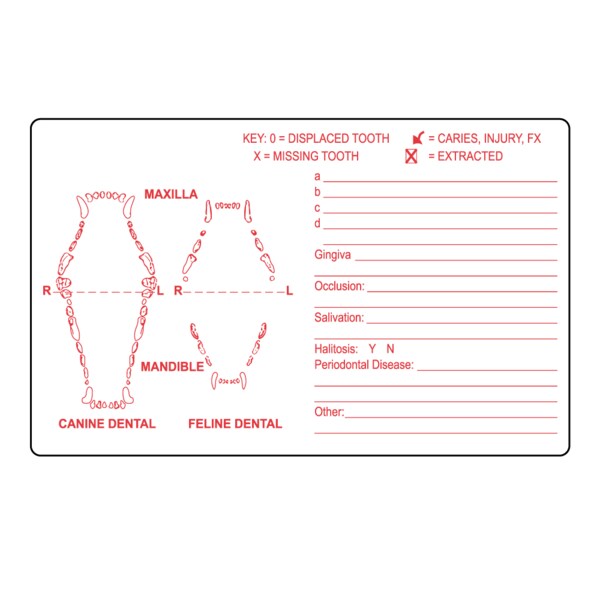 Dental Label 2-1/2" x 4" White w/Red